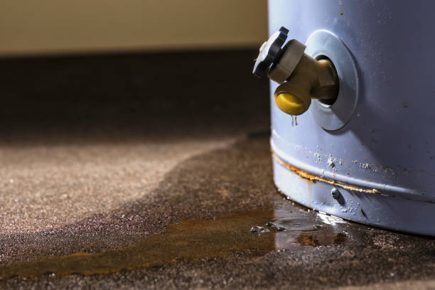 Water damage restoration mold remediation in Cape May, NJ