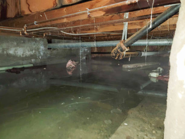 Best Ceiling water damage repair  in Cape May, NJ