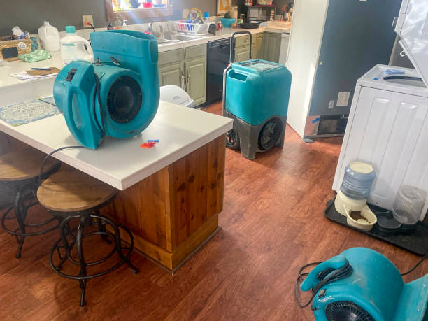Best Flooded house restoration  in Cape May, NJ