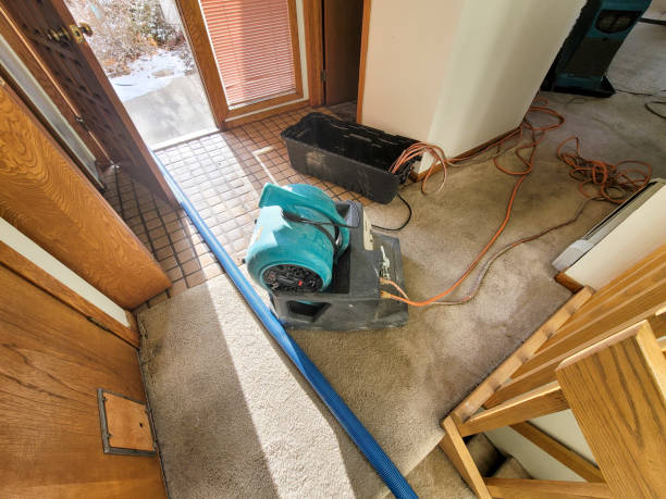 Best Water damage cleanup near me  in Cape May, NJ