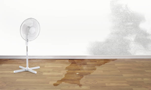 Best Basement water damage restoration  in Cape May, NJ