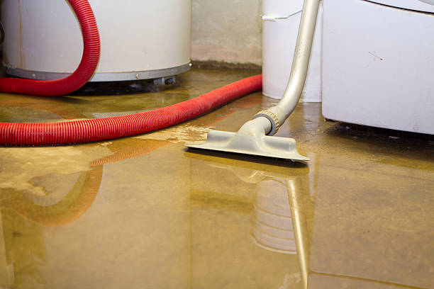 Best 24-hour water damage restoration  in Cape May, NJ