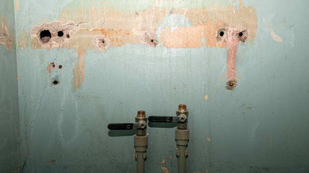 Reliable Cape May, NJ Water damage restoration Solutions
