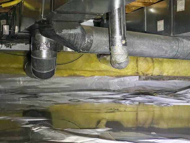 Best Flood restoration services  in Cape May, NJ