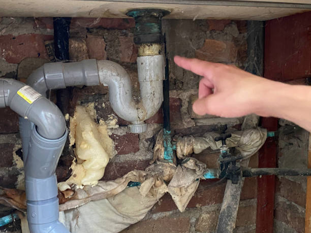 Best 24/7 water damage repair  in Cape May, NJ